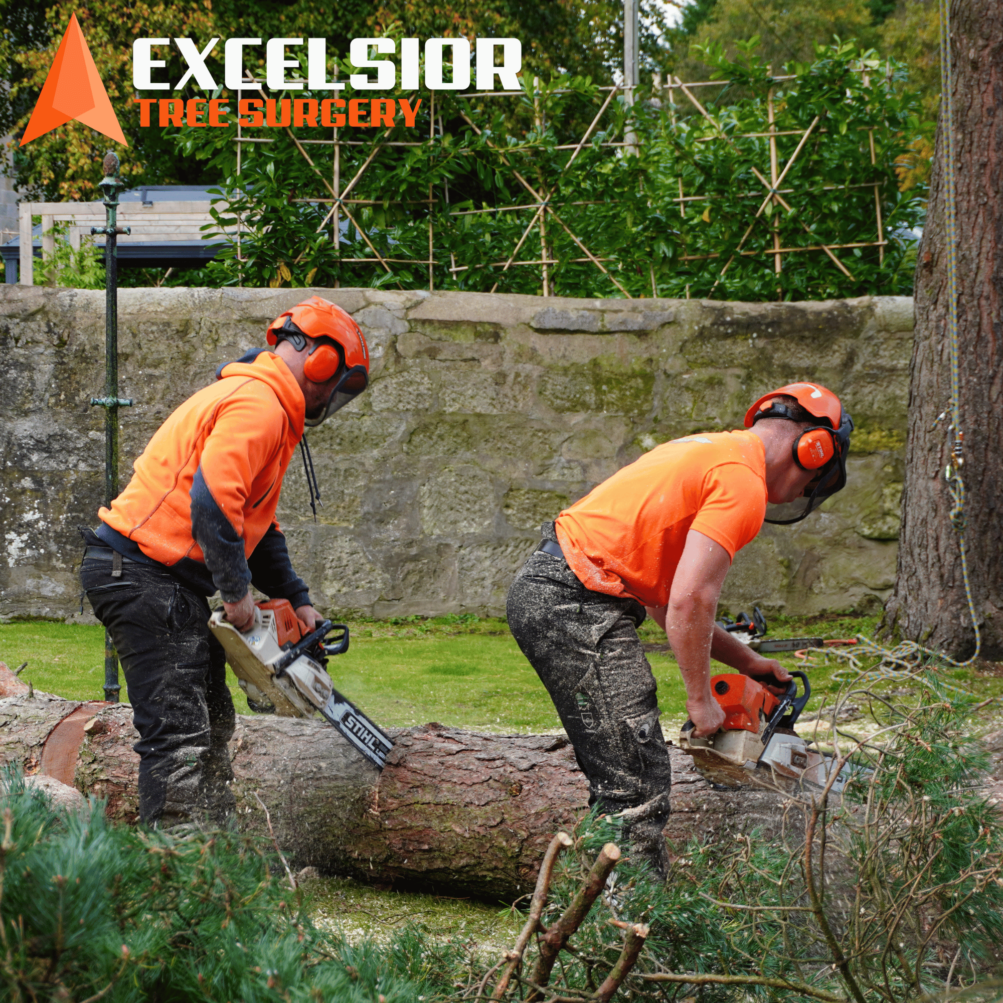 Excelsior Tree Surgery on-site shoot